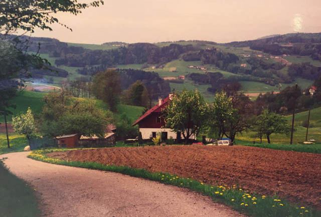 Zwiebelrostbraten – recept